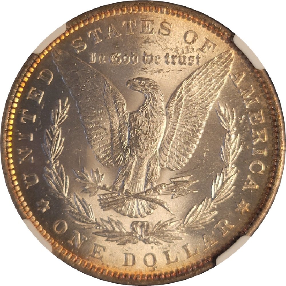 1879-$1-Morgan-Silver-Dollar-Obverse-Toned